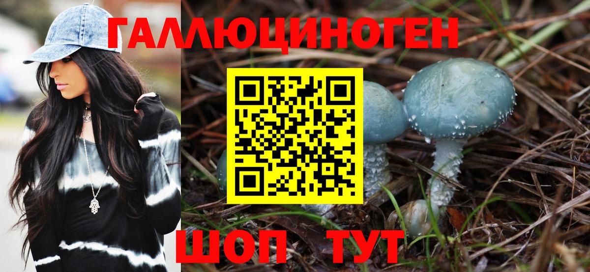 Зерноград  Псилоцибиновые грибы мухоморы  Вход с VPN 