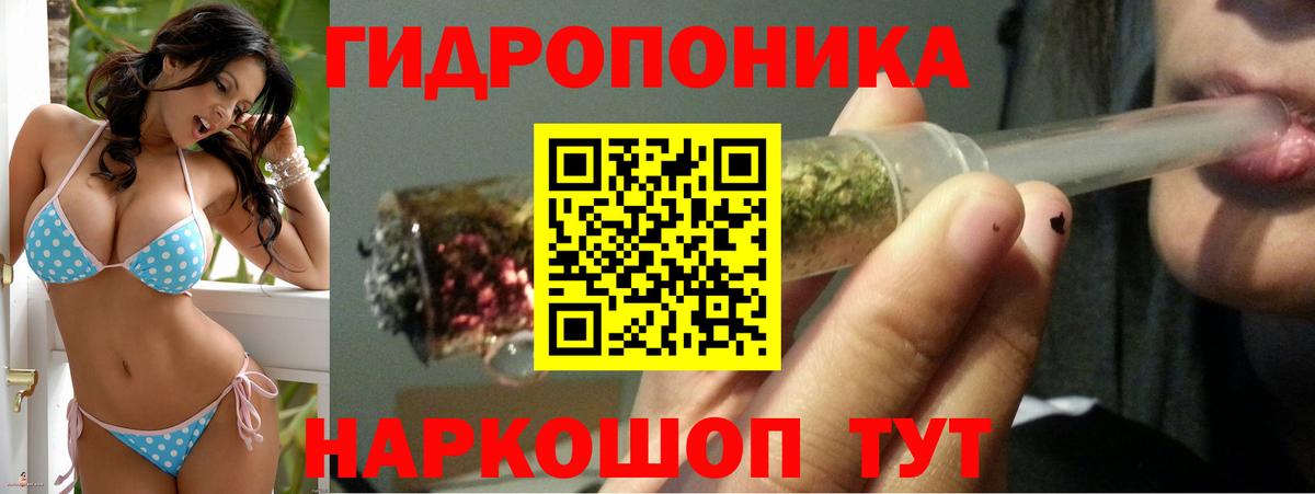 Бошки Шишки тримм  Канабис ГИДРОПОН  Вход с VPN  Зерноград  МАРИХУАНА сатива 